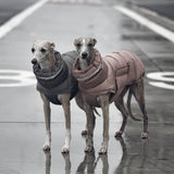 Pet Thickened Thermal Vest Cotton Coat