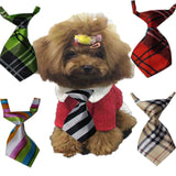 Dog Ties For Kids