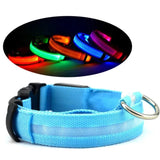 LED Pet Safety Halo Style Collar
