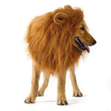 Transfiguration Lion Costume Winter Warm Wig Party Decoration