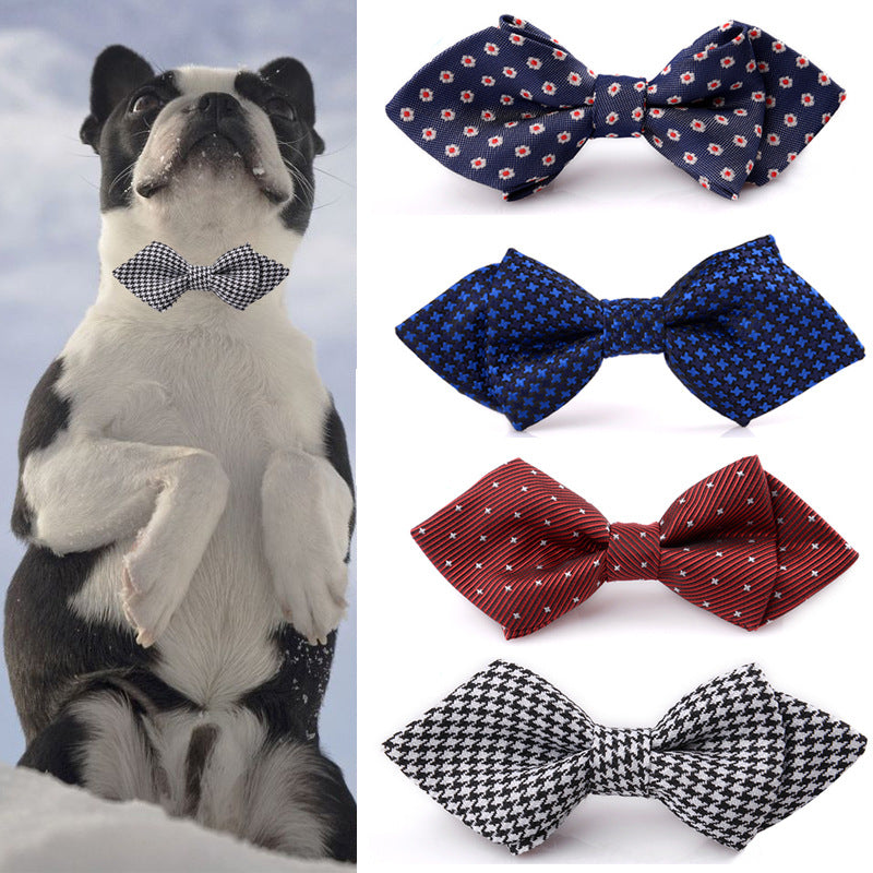 Dog British Bow Tie