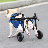 Disabled Pet Wheelchair Scooter