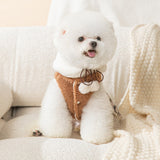 Puppy Cute Bear Dress