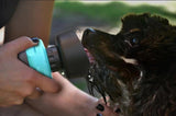 Outdoor Foldable Travel Water Bottle Water Dispenser