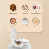 Automatic Smart Food Dispenser Timer Stainless Steel Bowl