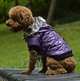 Autumn Winter Fur Collar Coat Clothing