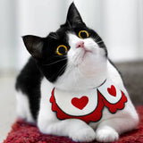 Graceful Pet Collar Scarf