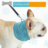 Instant Summer Cooling Bandana Scarf Towel Wrap Collar