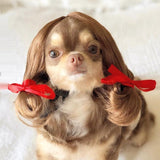 Pet Headdress Wig Sheath