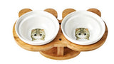 Ceramic Cat Feeding Bowl