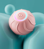 Smart Automatic Rolling Bouncing Ball (Rechargeable)