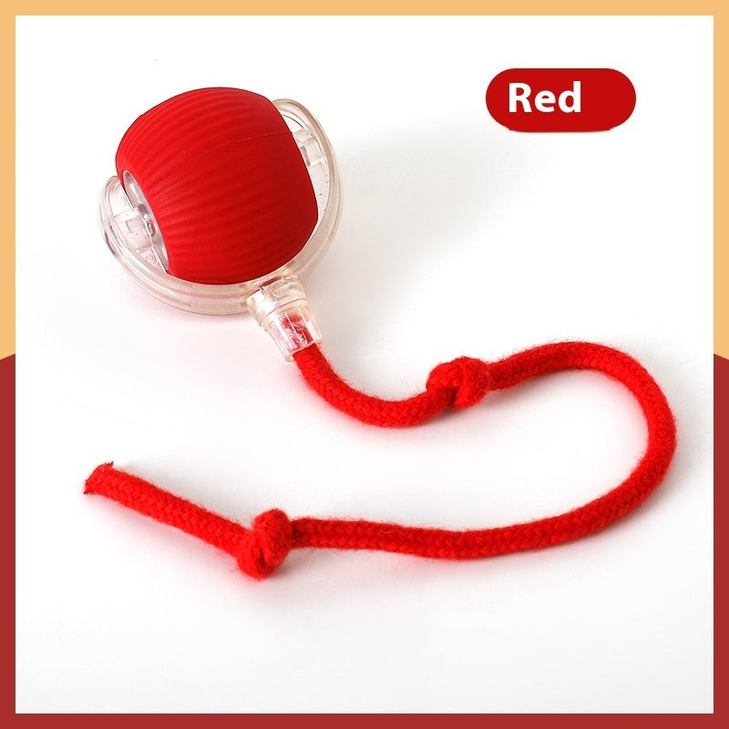 Interactive Toy Ball Super Drive Cat/Dog Rolling Ball