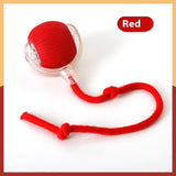 Interactive Toy Ball Super Drive Cat/Dog Rolling Ball