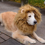 Transfiguration Lion Costume Winter Warm Wig Party Decoration
