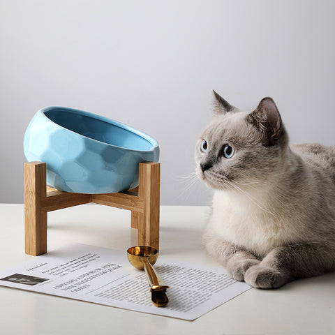 Oblique Mouth Pet Food bowl