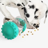 Slow Feed Interactive Balance Car Multifunctional