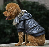 Autumn Winter Fur Collar Coat Clothing