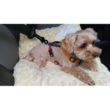 Pet Car Safety Buckle Car Holder
