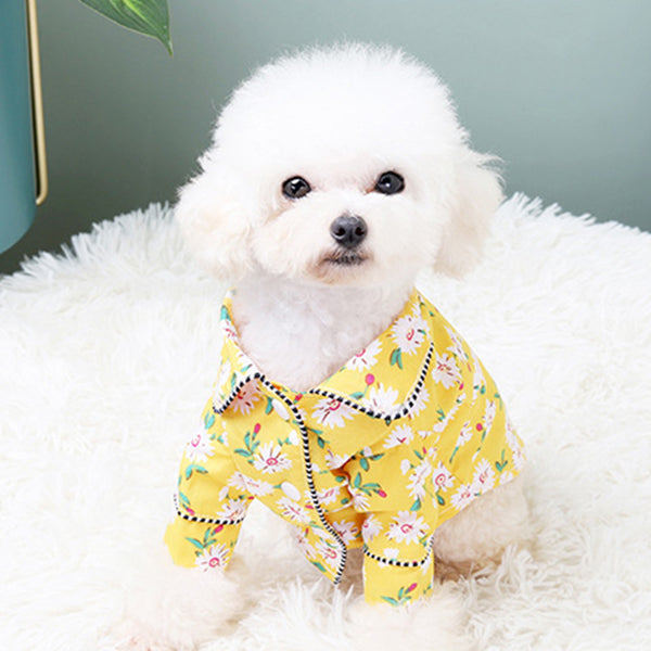 daisy