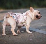 Teddy Schnauzer Pugs Skirt