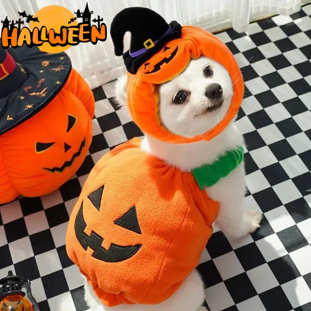 Pet Halloween Pumpkin Vest Festive Harness Thanksgiving Christmas Apparel
