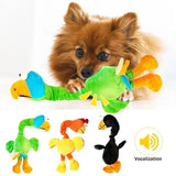 Screaming Chicken Sound Toy Bite Resistant Chew