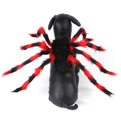 Pet Halloween Creative Spider Costume