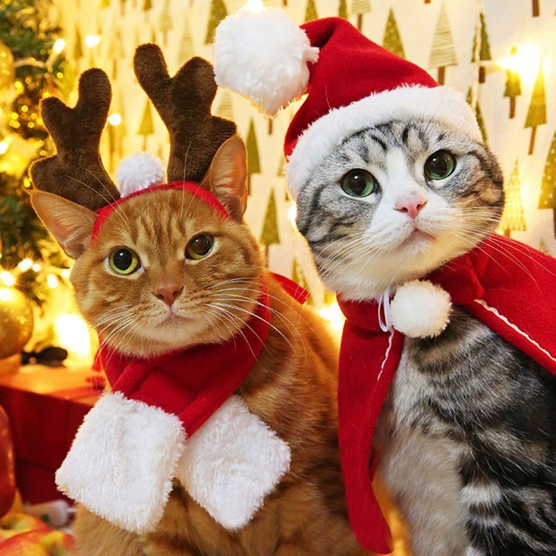 Pet Christmas Tiara