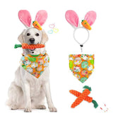 Easter Pet Party Decor Kit