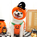 Pet Halloween Pumpkin Vest Festive Harness Thanksgiving Christmas Apparel