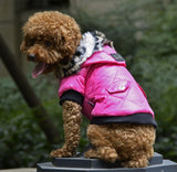 Autumn Winter Fur Collar Coat Clothing