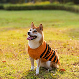 Halloween Pet Sweaters Costume Teddy Warm Leisure Cosplay Clothes