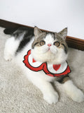Graceful Pet Collar Scarf
