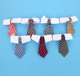 Pet Bow Tie Cartoon Print