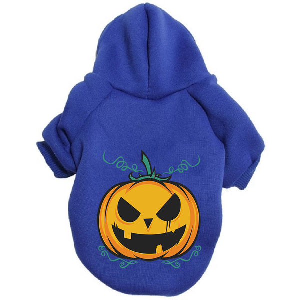 pumpkin-blue