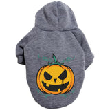 Polyester Halloween Pumpkin Pattern Sweater