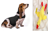 Anxiety Summer Medical Treatment Jacket Vest To Calm Down Pet
