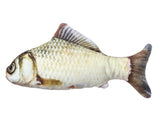 Creative Fish Pet Plush Pillow & Chew Toy