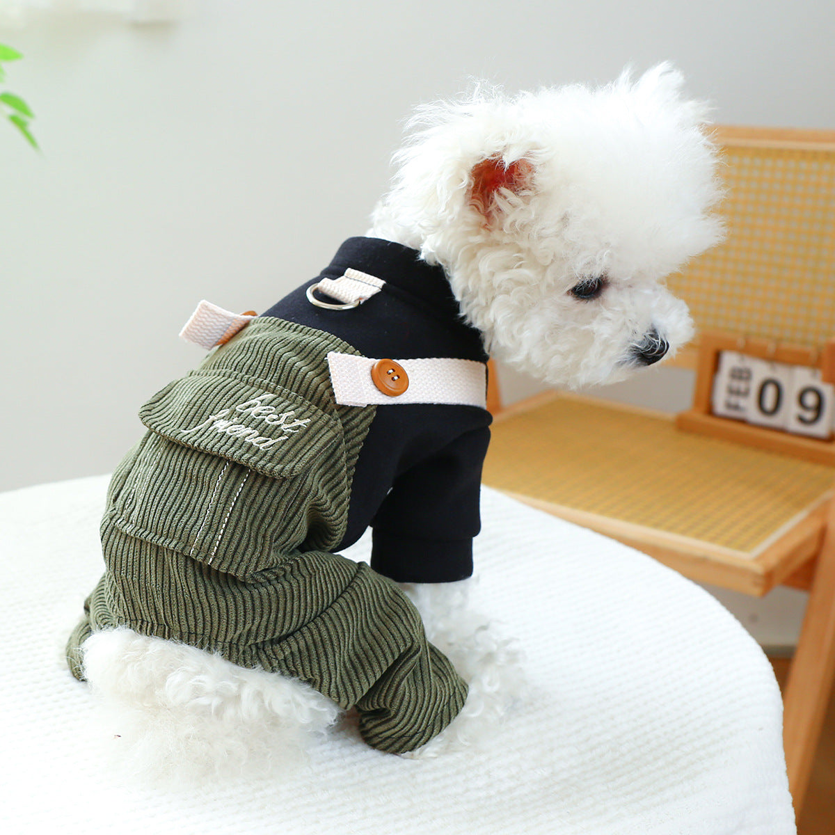 Ring Pet Clothes New Corduroy
