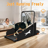 Dog Pacer Treadmill For Healthy & Fit Pets - Run Walk