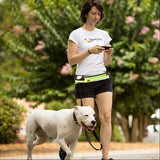 Hands Free Dog Leash Pet Walking And Training Belt With Phone Pocket And Water Bottle Holder