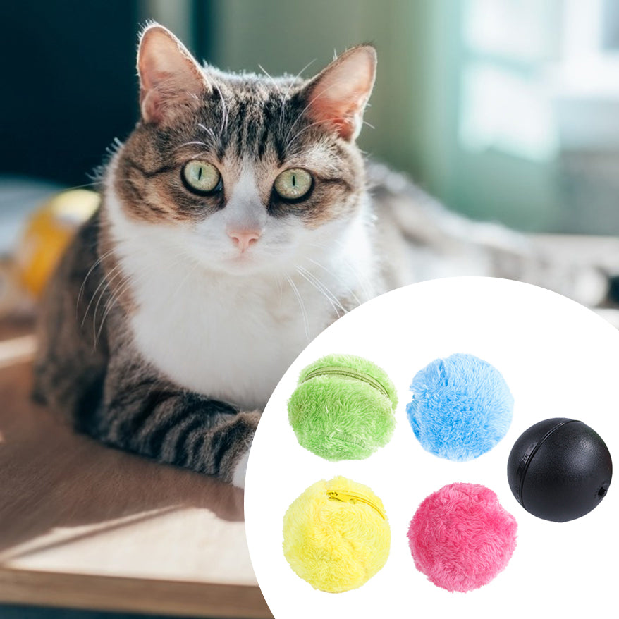 Automatic Electric Magic Roller Activation Ball Chew Plush