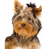 Headdress Flower Spring Solid Color