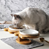 Ceramic Cat Feeding Bowl