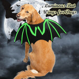 Pet Halloween Bat Wings Cool Luminous Skeleton Bone Cosplay Costume