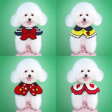Graceful Pet Collar Scarf