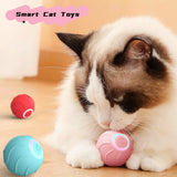 Smart Automatic Rolling Bouncing Ball (Rechargeable)