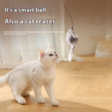 Electric Mouse Teaser Ball Moving Toy