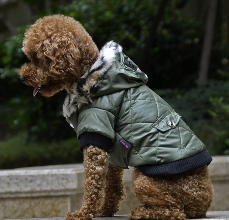 Autumn Winter Fur Collar Coat Clothing