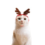 Cute Christmas Cloak Halloween Disguise Cat Costume